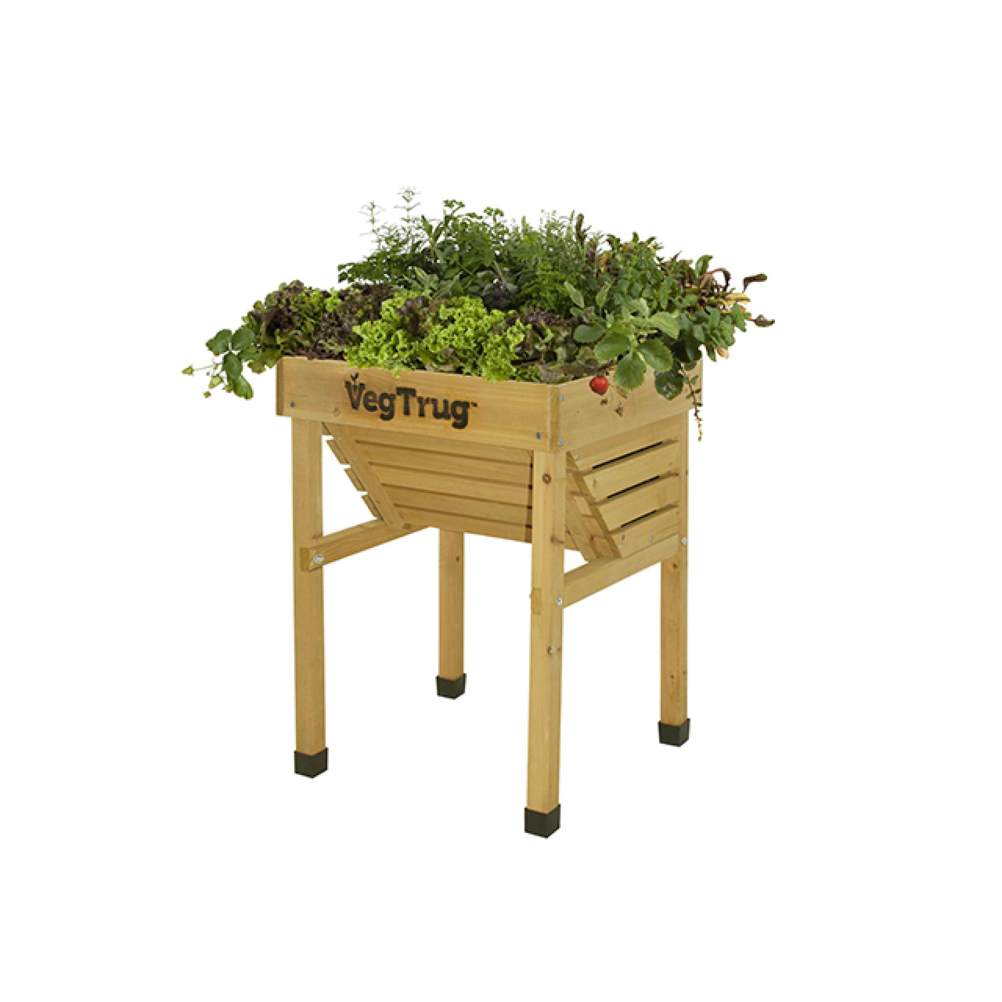 VegTrug Kids VegTrug