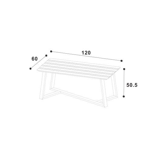 Alora 120x60 2 Seat Rectangular Coffee Table.jpg